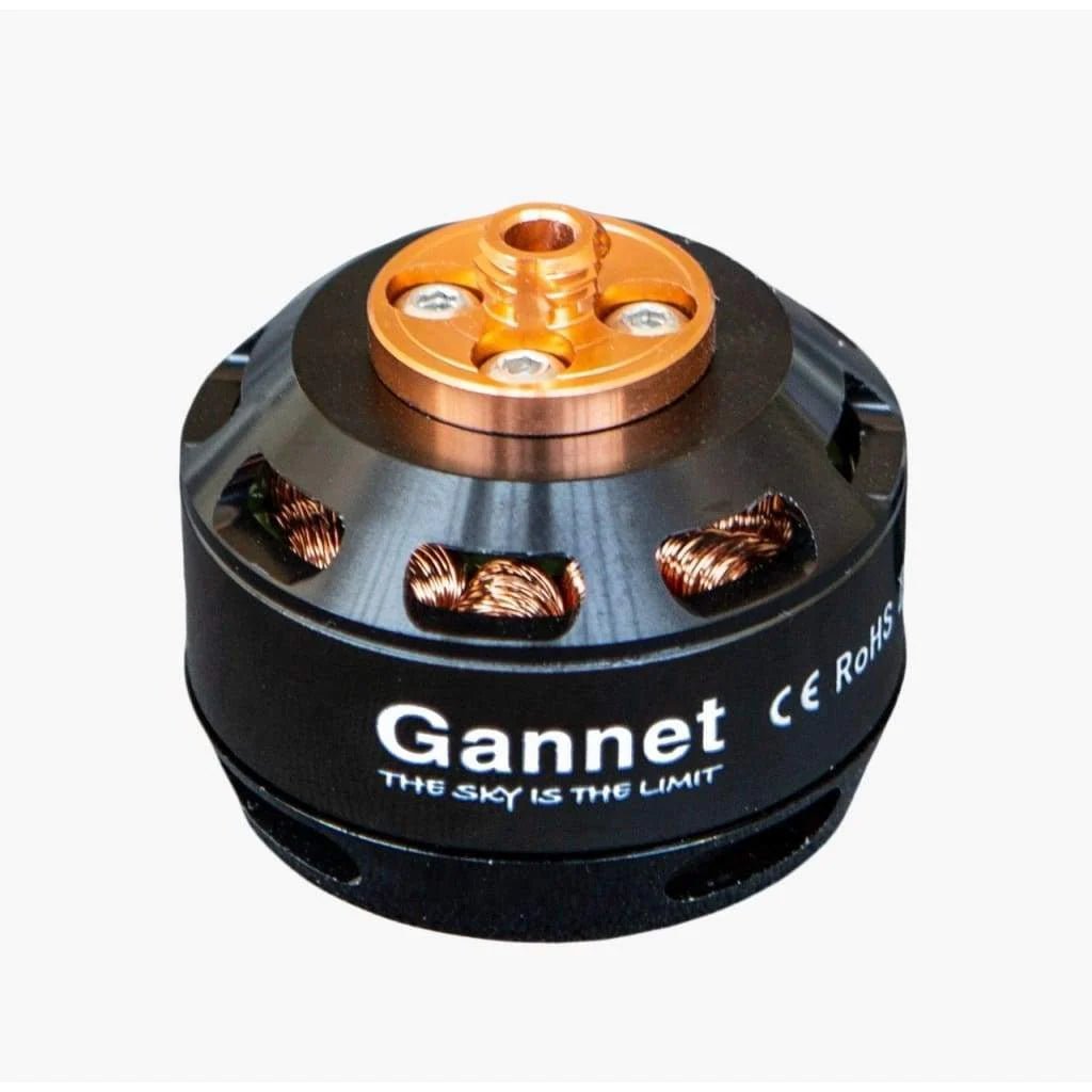 Gannet Pro Motor CCW