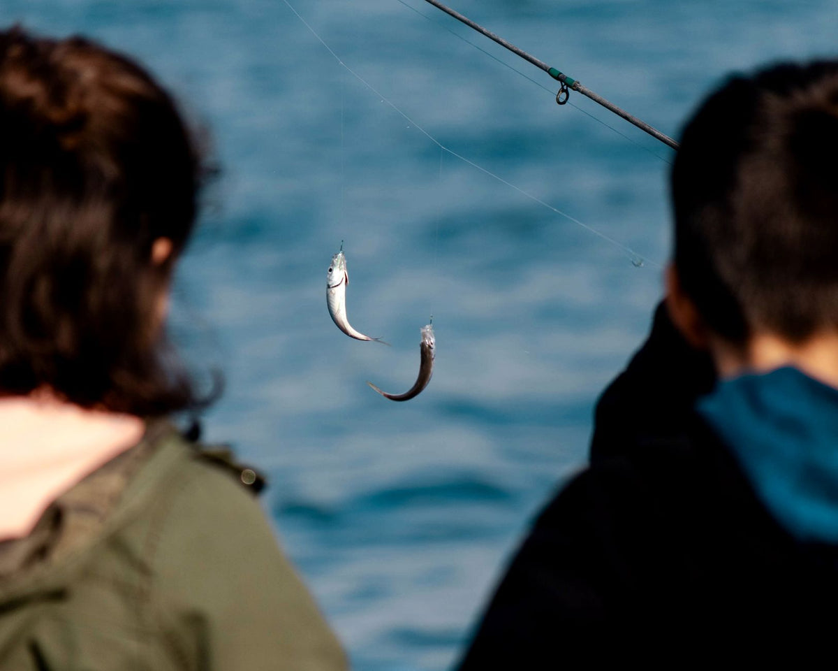 Electronic vs Mechanical Drone Bait Release: Which? - Drone Fisher