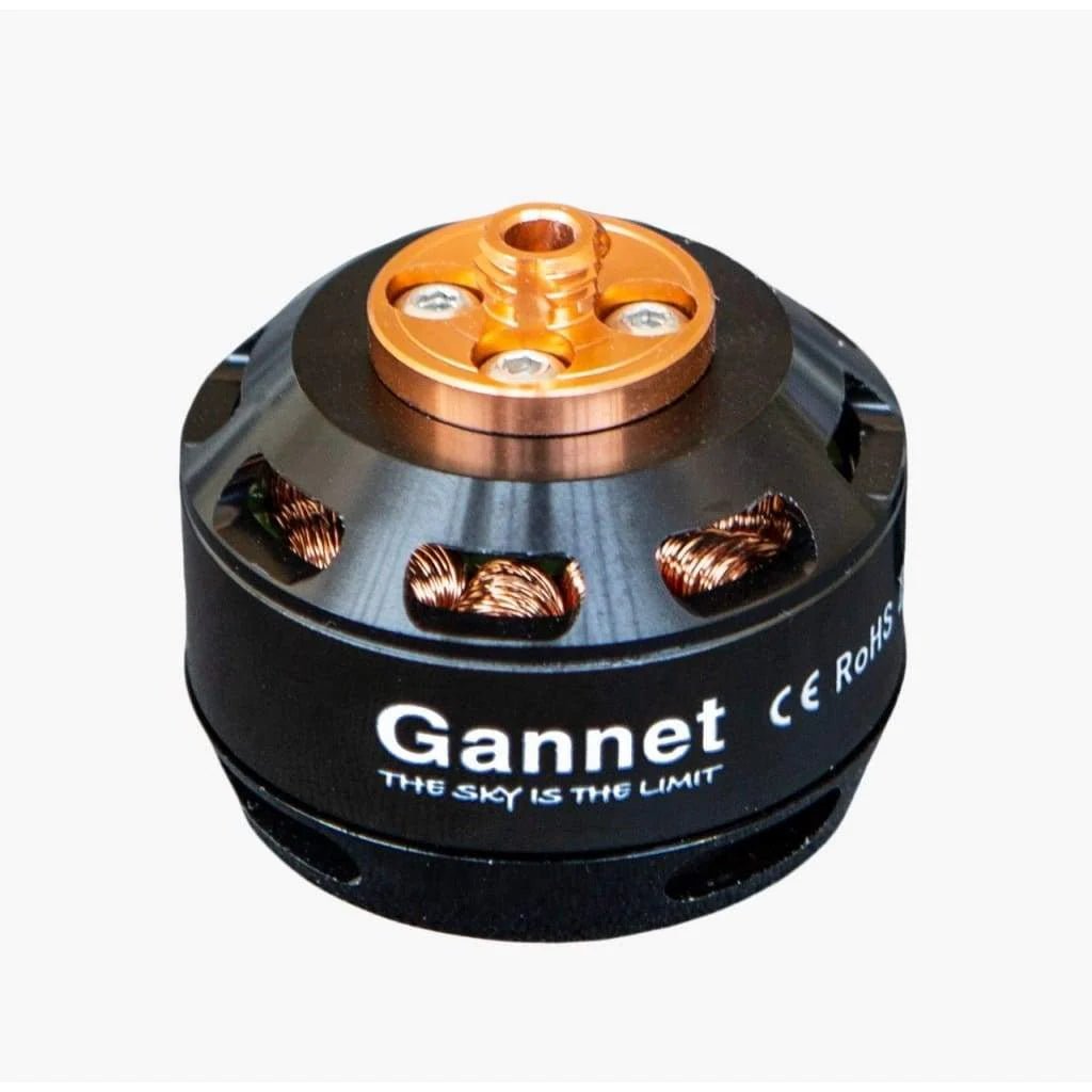 Gannet Pro Motor CW